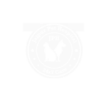11-300x300